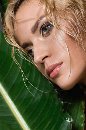 blonde woman with wet hair and green leafの写真素材