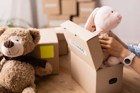 Cropped view of volunteer putting soft toy in box with donation letteringの写真素材