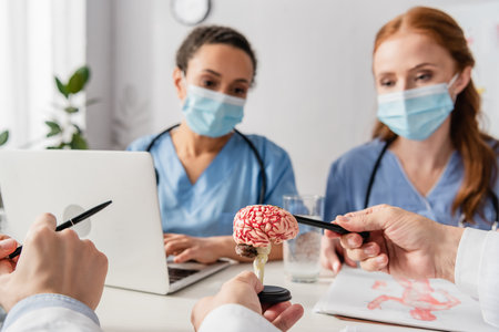 Doctor pointing with pen at brain anatomical model at workplace with blurred multiethnic nurses on...