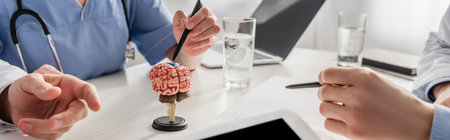 Cropped view of nurse pointing with pen at brain anatomical model near colleagues at workplace with...