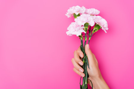 top view of female hand with pastel fingernails and carnation flowers on pink backgroundの写真素材
