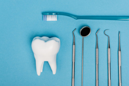Top view of tooth model near toothbrush and dental tools on blue backgroundの写真素材