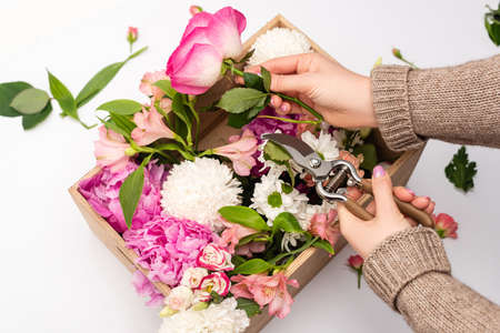 cropped view of woman holding hand pruners near flowers in wooden box on whiteの写真素材