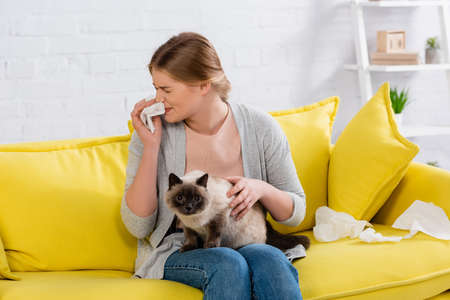 Woman with allergy sneezing while holding napkin and siamese catの写真素材
