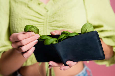 partial view of woman holding wallet with fresh green spinach, selective focusの写真素材