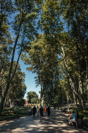 ISTANBUL, TURKEY - NOVEMBER 12, 2020: People walking on alley near tees in parkのeditorial素材