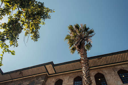 Bottom view of trees near building and blue sky at background in Istanbul, Turkeyの写真素材