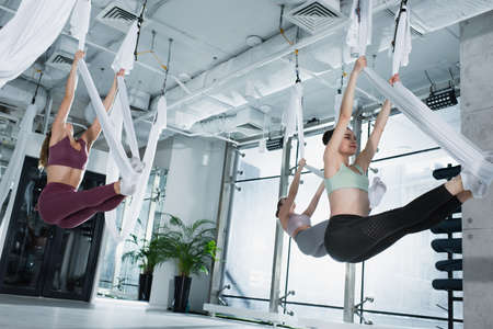 group of sportive women exercising with fly yoga hammocks in gymの写真素材