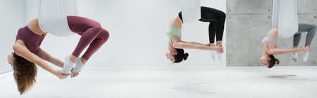 young sportive women practicing aerial yoga in hammocks, bannerの写真素材