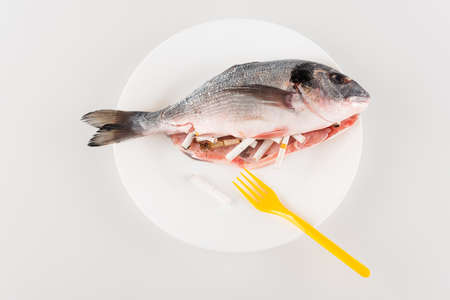 top view of plastic fork near fish stuffed with cigarette ends on white, ecology conceptの写真素材