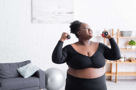 smiling african american plus size woman in sportswear exercising with dumbbells in living roomの写真素材