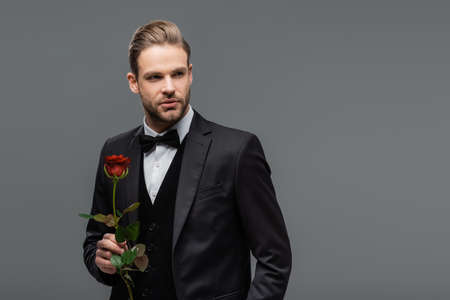 businessman in black suit looking away while standing with red rose isolated on grayの写真素材