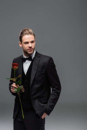 businessman standing with hand in pocket while holding red rose and looking away on grayの写真素材