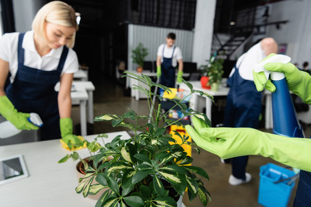 Worker of cleaning company in rubber gloves cleaning plant with detergent near colleagues in office