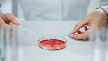 cropped view of african american scientist taking blood from test plate with pipette