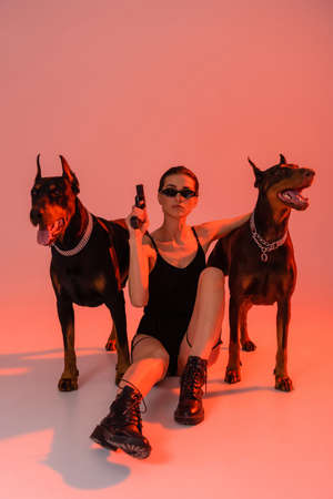 trendy woman in bodysuit holding handgun while sitting near dobermans on pink background with yellow...