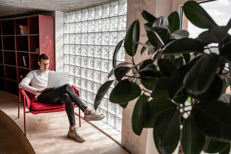 young student using laptop while sitting in armchair, senior 2021の写真素材