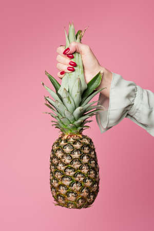 Partial view of woman holding tropical pineapple isolated on pinkの写真素材