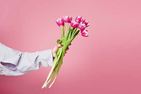 Cropped view of bouquet of tulips in hand of woman isolated on pink