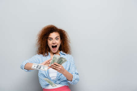 astonished woman screaming while counting dollar banknotes on gray backgroundの写真素材