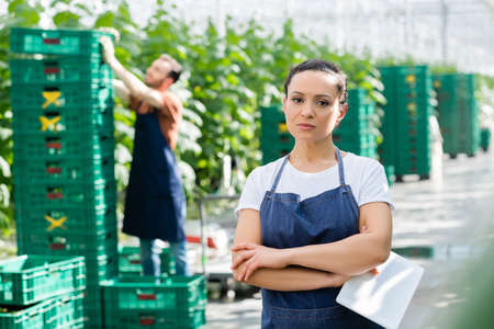 african american farmer with digital tablet standing with crossed arms near colleague on blurred backgroundの写真素材