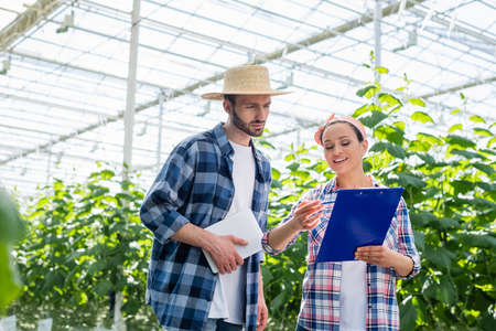 smiling african american farmer pointing at clipboard near colleague with digital tabletの写真素材
