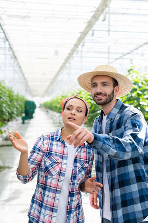 smiling farmer pointing with finger near african american colleague in glasshouseの写真素材