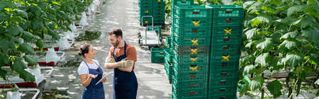 african american woman gesturing while talking to colleague in greenhouse, bannerの写真素材