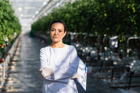 african american quality inspector holding clipboard while looking at camera in glasshouseの写真素材