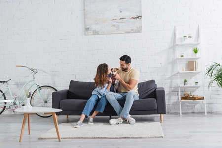 happy interracial couple petting jack russell terrier in modern living roomの写真素材