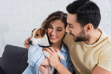 happy interracial couple petting jack russell terrierの写真素材