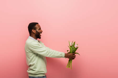 cheerful african american man holding tulips in outstretched hands on pink backgroundの写真素材
