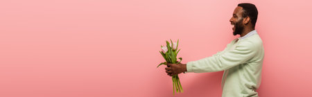 cheerful african american man holding fresh tulips in outstretched hands on pink background, bannerの写真素材