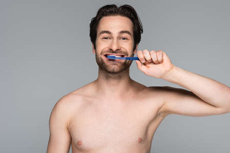 happy and shirtless man brushing teeth isolated on grayの写真素材