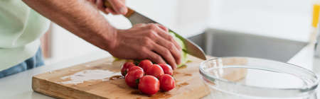 View of man cutting fresh cherry cropped tomatoes near bowl, bannerの写真素材