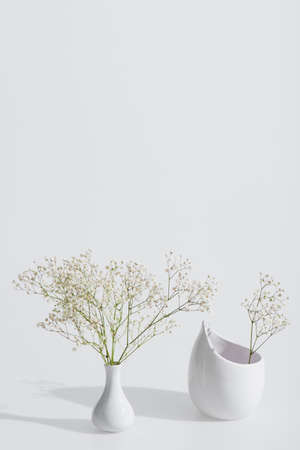 branches with blossoming flowers in vases on white backgroundの写真素材