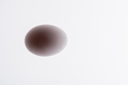 bottom view of raw and organic egg isolated on whiteの写真素材