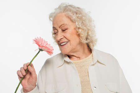 smiling elderly woman holding pink gerbera flower isolated on white
