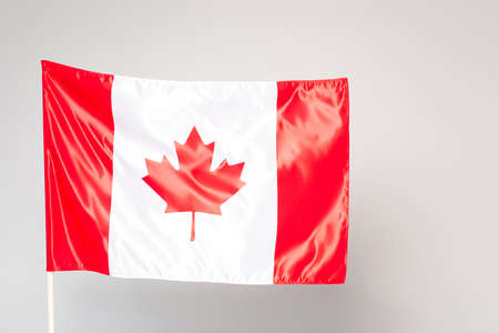 white canadian flag with red maple leaf isolated on grayの写真素材