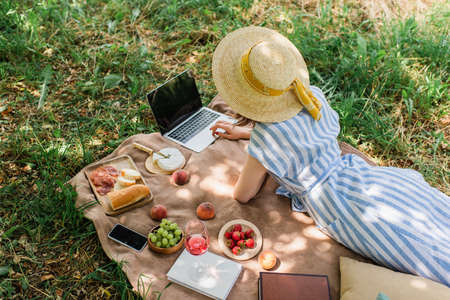 Top view of woman using laptop near smartphone, food and wine on blanket in parkの写真素材