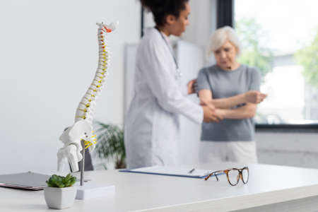 Medical model of spine near interracial doctor and patient on blurred background