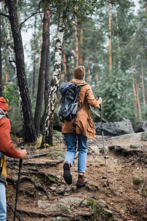 back view of couple in hats holding hiking sticks while trekking in forestの写真素材