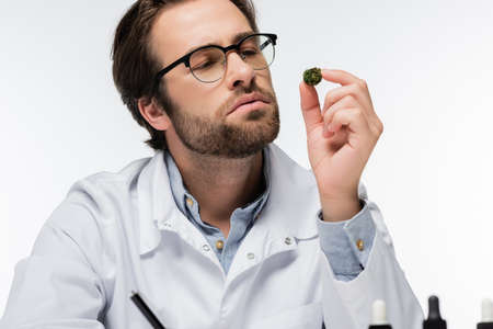 doctor in eyeglasses looking at dry medical cannabis isolated on white