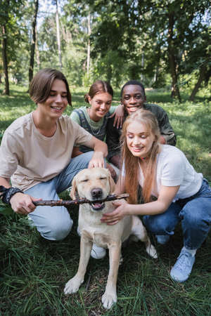 Cheerful interracial teenagers holding stick near retriever on lawnの写真素材