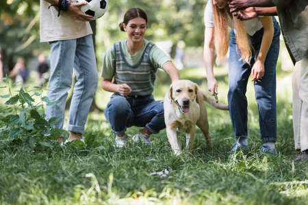 Retriever near multiethnic teenagers with football and stick on grassの写真素材