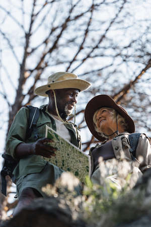 Low angle view of smiling african american hiker holding map near senior wife in forestの写真素材