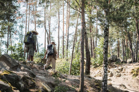 Senior travelers with backpacks walking on stones in forest