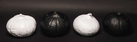black and white pumpkins in row on dark background, bannerの写真素材