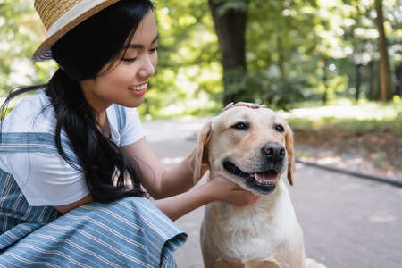 young asian woman smiling while stroking yellow labrador in parkの写真素材