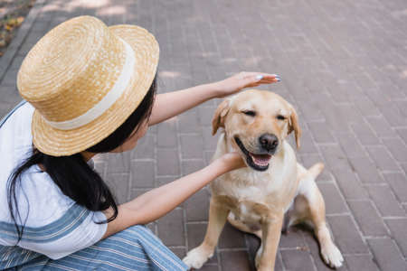 brunette woman in straw hat cuddling yellow labrador in park